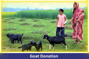 Goat-Donation-en.png